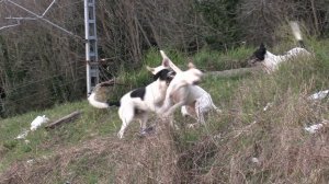 Пляж Чёрного моря в Сочи весной