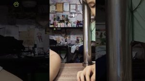 красиво рисую?,?,