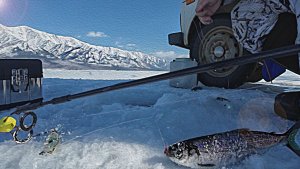 Байкальская рыбалка на глубинного омуля. Закрытие зимнего сезона 2026 г.