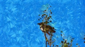 Наблюдение за воронами...