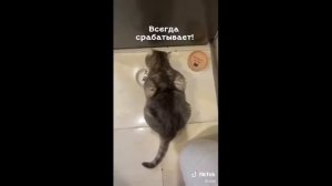 Лучшее из Tik Tok 2026ЗАСМЕЯЛСЯ - ПОДПИСАЛСЯ! ЛУЧШИЕ ПРИКОЛЫ ДО СЛЕЗ ТЕСТ НА ПСИХИКУ УГАР!