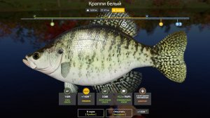 КРАППИ БЕЛЫЙ ТРОФЕИ!!!ЛОСИНОЕ ОЗЕРО - РУССКАЯ РЫБАЛКА 4