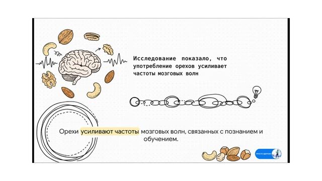 Грецкий орех: Суперфуд для мозга или маркетинговый миф?