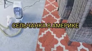 Сельчанка в Америке / ТРЕТИЙ ДЕНЬ УБОРКИ В БЕСЕДКЕ Мои новые скатерти