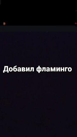 Добавил фламинго