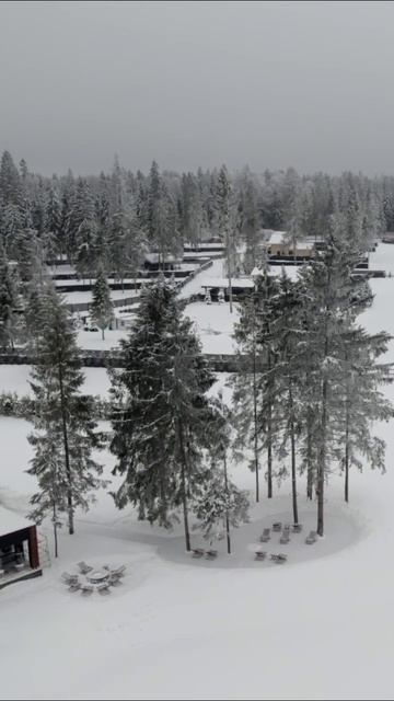 Проект ГринТипс в гостях у Максима Серякова