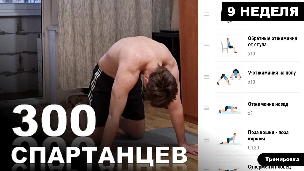 ТРЕНИРОВКА ВСЕГО ТЕЛА | Марафон - 300 СПАРТАНЦЕВ | #9