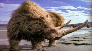 Poets of the Fall - Locking Up the Sun