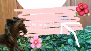 Новости +обзор?/лошади шляйх?❤️💕💓