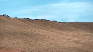 Гора Шишка и окрестности 28.03.2026