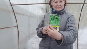 Наш быт: красим обрешётку🎨 , сеем в теплице🌿 - побеждает ужин🍖