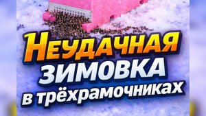 Неудачная зимовка пчёл в трёхрамочниках