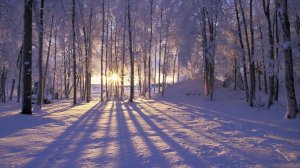 Стрим 🔳 Суббота - Руся and Пипонька IN Amerika - Новый Трэш!!!!!!)