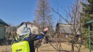 Весенняя обработка плодовых деревьев и ягодных кустарников