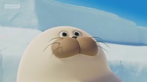 Морские Котики: Эпизоды 21-40 - 30 минут непрерывного просмотра 📌 | Подборка эпизодов