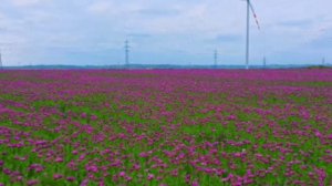 Сусанна Масленникова/Но так бывет