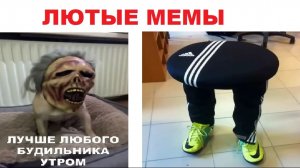 Лютые мемы. Собака в маске и четкий стул