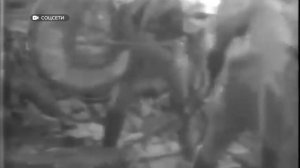 Бийские ликвидаторы катастрофы на Чернобыльской АЭС встретились за круглым столом