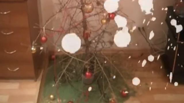 O,Tannenbaum