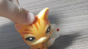 LPS: #"Советы для начинающих LPS блогеров."