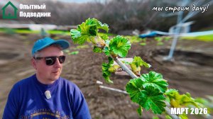 ОПЫТНЫЙ ПОДВОДНИК_Март 2026