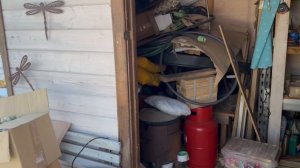 Встретили Моню на перекрестке. Очень много новогоднего декора. Бегут ручьи. Уезжаем