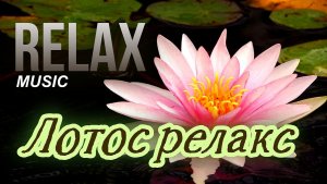 🌺 RELAX I ЛОТОС И ТИШИНА ПРИРОДЫ — МЯГКАЯ МУЗЫКА ДЛЯ СНА, РЕЛАКСА И ВОССТАНОВЛЕНИЯ ЭНЕРГИИ
