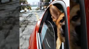 Хороший фильм на вечер !