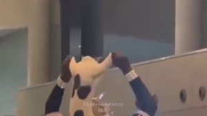 Лайфхак,как пронести кота в самолёт