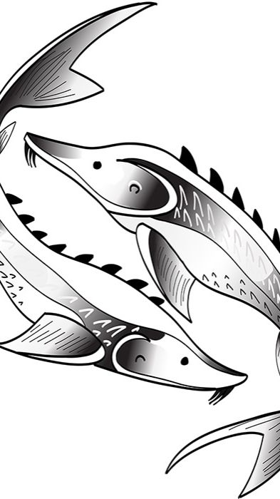 Передержка рыбы в СПБ