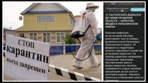 ⚡️ БОЙКОТ, КАРАНТИН, СКАНДАЛ С ЗАБОЕМ СКОТА! НОВОСТИ ПРИВОЛЖЬЯ!