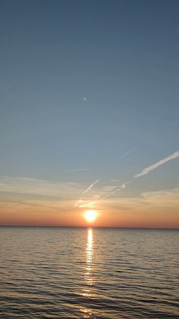 в_латыни_не_силён_человек_человеку_брат_homo_homimi_lupus_est_lat