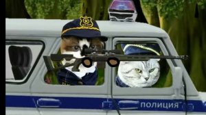 ТРИ КОШАКА: Приключение (Пародия на Три кота)