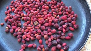 Кофе из семян шиповника