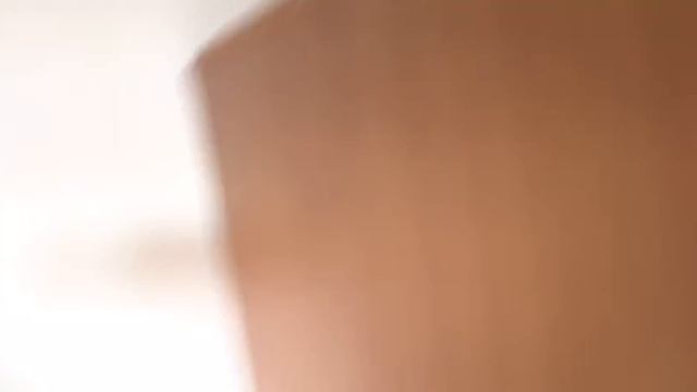 Лео и две кошки дома