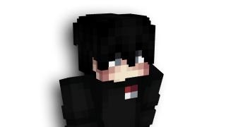 как поставить скин