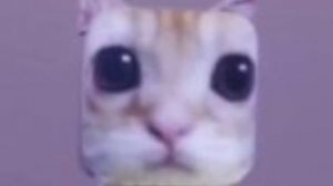 СРОЧНЫЙ АНОНС ✅ #диалог&монолог