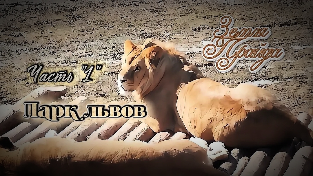 Зоопарк #Земля_Прайда. Парк Львов. Часть «1»