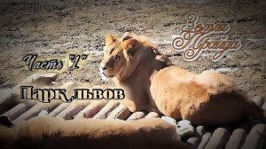 Зоопарк #Земля_Прайда. Парк Львов. Часть «1»