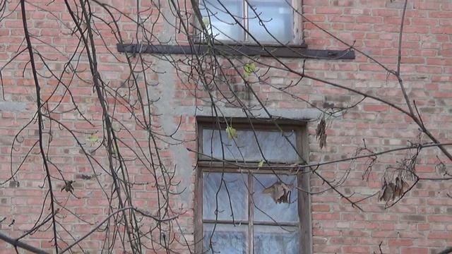 2022 год - Северный фасад третьего подъезда