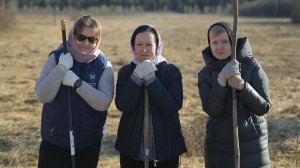 Оттенки прекрасного