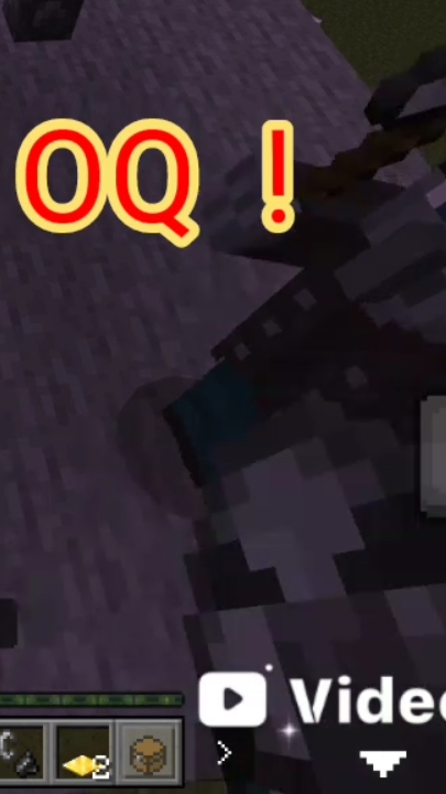 проверяем IQ  поборника!