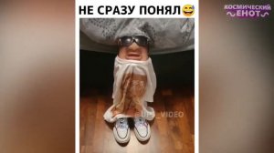 ЛУЧШИЕ ПРИКОЛЫ 2026ржака до слез угар прикол ПРИКОЛЮХА ЗАСМЕЯЛСЯ - ПОДПИСАЛСЯ!