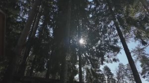 весна погода просто класс