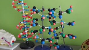 КОНКУРСНАЯ РАБОТА ЮНКОР-2026