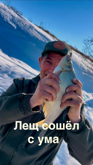 Лещ сошёл с ума !!!! Ловим леща на спиннинг.