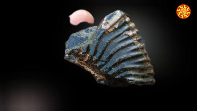 Необычные находки у реки 
🔥🔥🔥