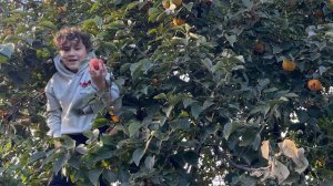 Камиль застрял на дереве! Аминка нашла котёнка и хочет забрать его домой