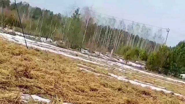 27 мар 2026 год ловля жаворонков реплов