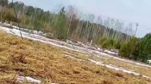 27 мар 2026 год ловля жаворонков реплов